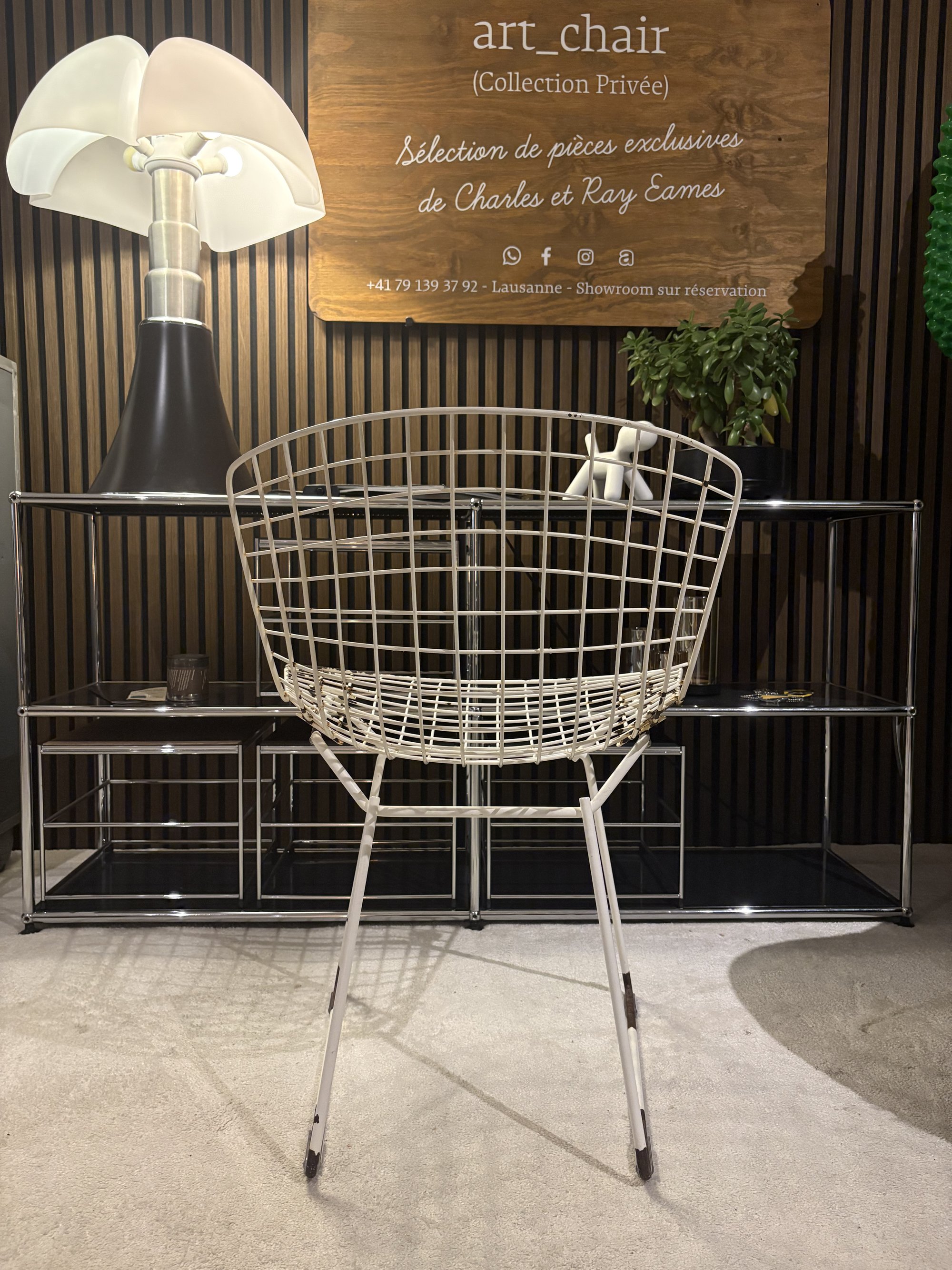Bertoia Side Chair pour Knoll — Provenance IBM — vue 4